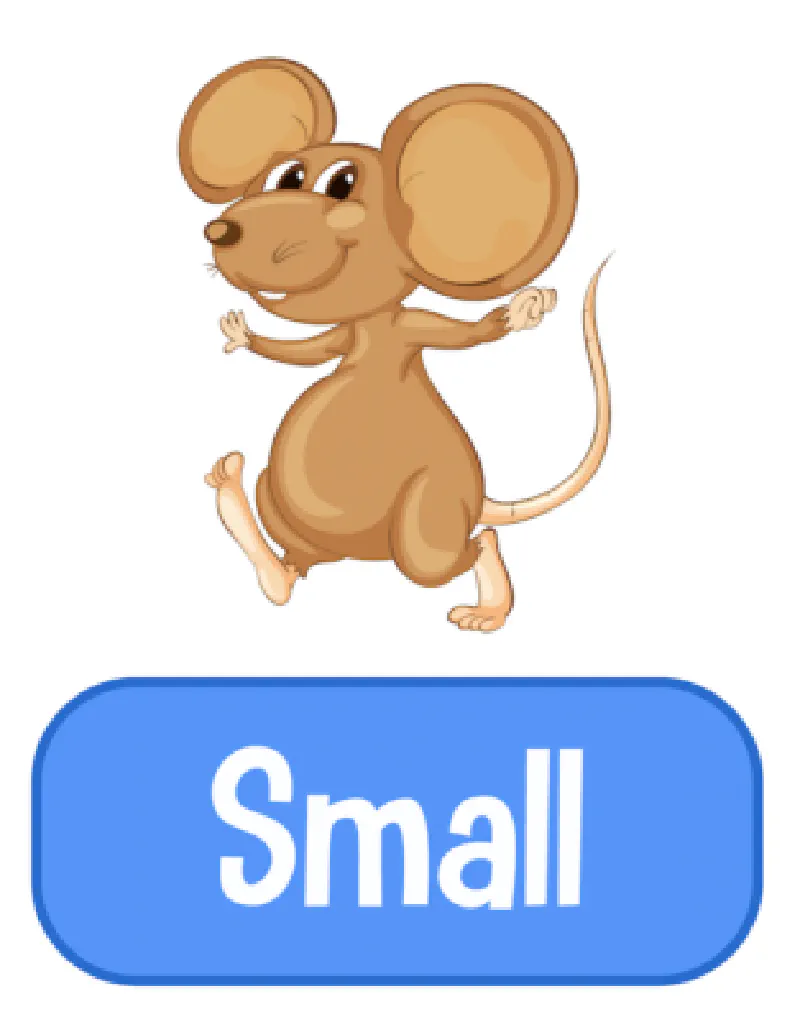 Nhỏ - Small